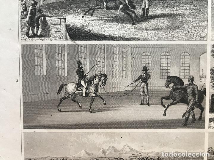 Arte: Diferentes formas de utilizar el caballo, 1845. An&oacute;nimo - Foto 5