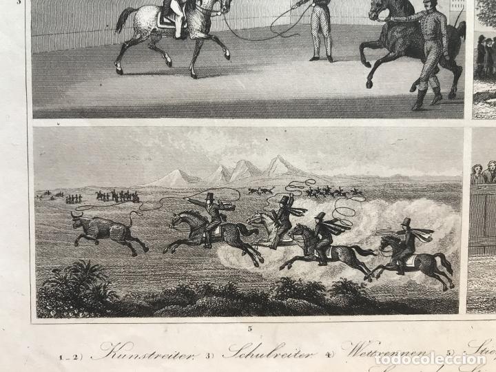 Arte: Diferentes formas de utilizar el caballo, 1845. An&oacute;nimo - Foto 7