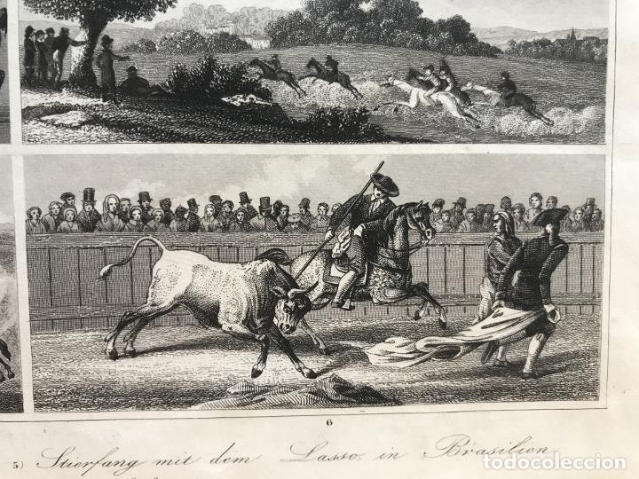 Arte: Diferentes formas de utilizar el caballo, 1845. An&oacute;nimo - Foto 8