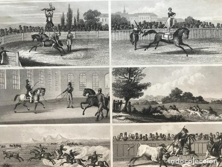 Arte: Diferentes formas de utilizar el caballo, 1845. An&oacute;nimo - Foto 9