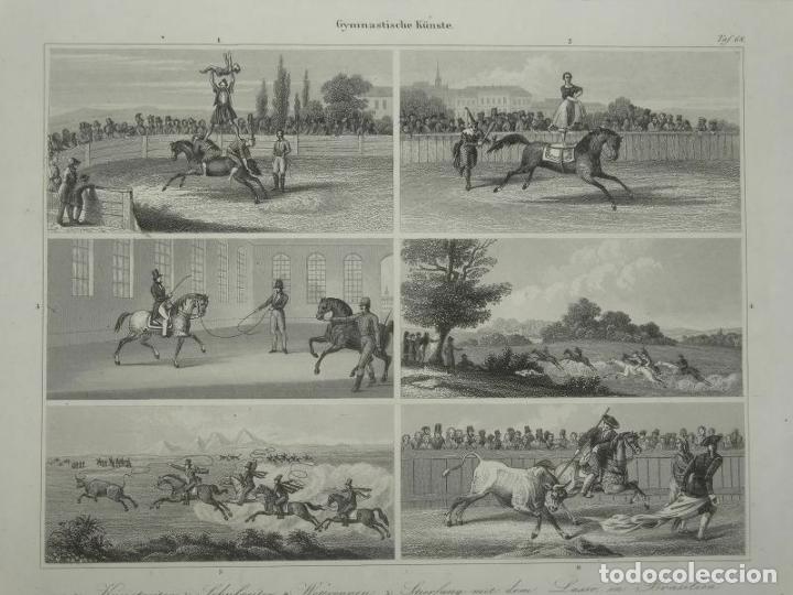 Arte: Diferentes formas de utilizar el caballo, 1845. An&oacute;nimo - Foto 11