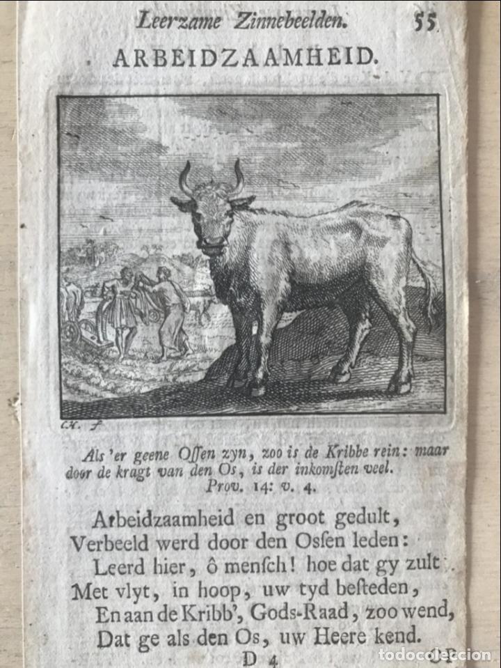 Arte: Emblema alegórico: Buey y hombres con arados, 1730. Hendrik Graauwhart /C.H. - Foto 3 - 295519853