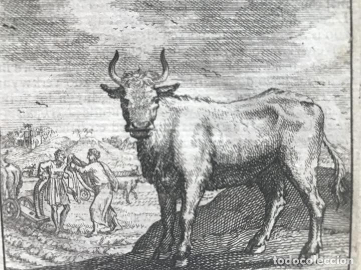 Arte: Emblema alegórico: Buey y hombres con arados, 1730. Hendrik Graauwhart /C.H. - Foto 4 - 295519853