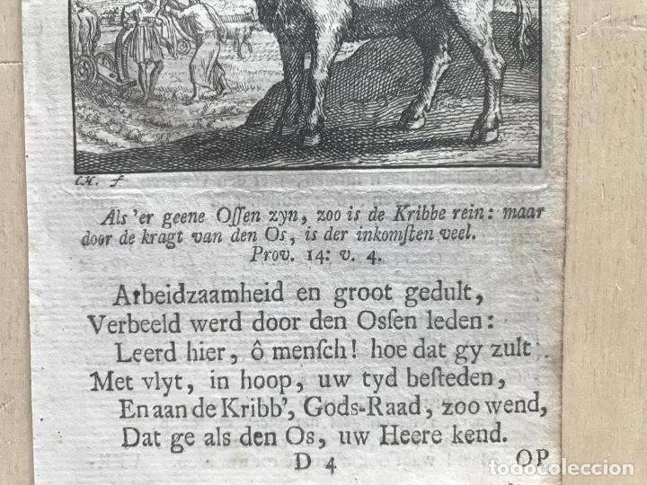Arte: Emblema alegórico: Buey y hombres con arados, 1730. Hendrik Graauwhart /C.H. - Foto 6 - 295519853
