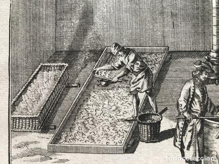 Arte: Peinadores de lana, 1754. An&oacute;nimo - Foto 10