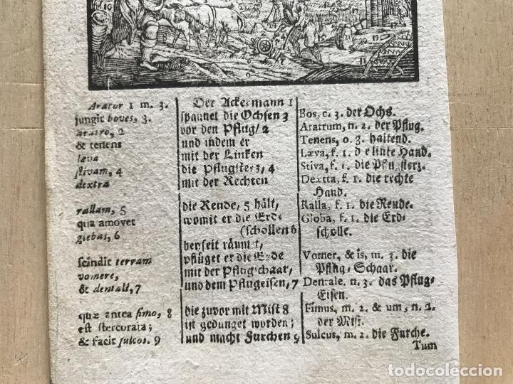 Arte: Agricultura barroca, 1754. An&oacute;nimo - Foto 4