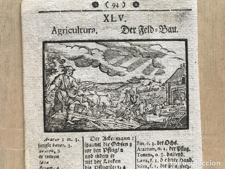 Arte: Agricultura barroca, 1754. An&oacute;nimo - Foto 1