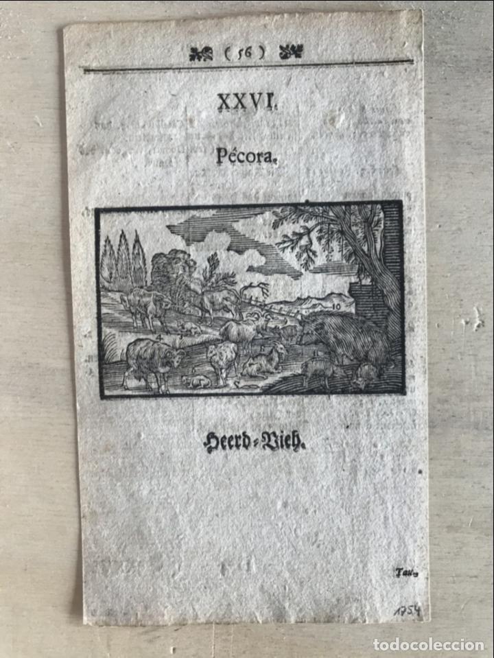 Arte: Reba&ntilde;os barrocos, 1754. An&oacute;nimo - Foto 2