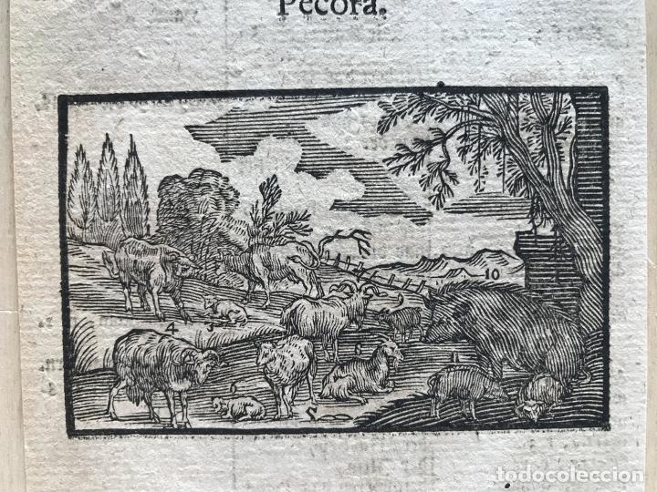 Arte: Reba&ntilde;os barrocos, 1754. An&oacute;nimo - Foto 3
