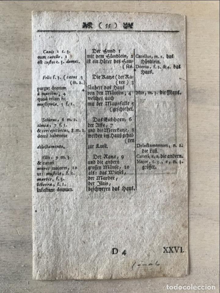 Arte: Reba&ntilde;os barrocos, 1754. An&oacute;nimo - Foto 4