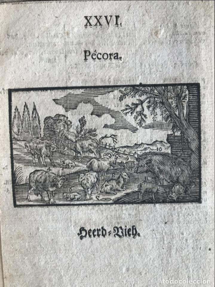 Arte: Reba&ntilde;os barrocos, 1754. An&oacute;nimo - Foto 1