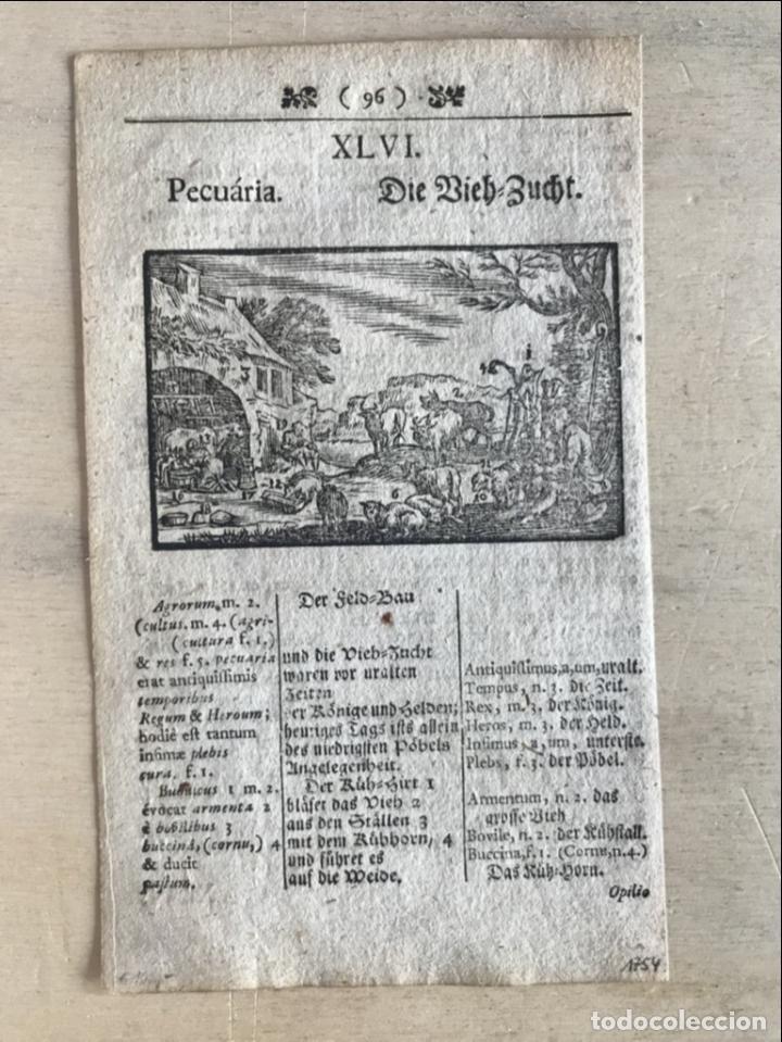Arte: Ganader&iacute;a barroca, 1754. An&oacute;nimo - Foto 2