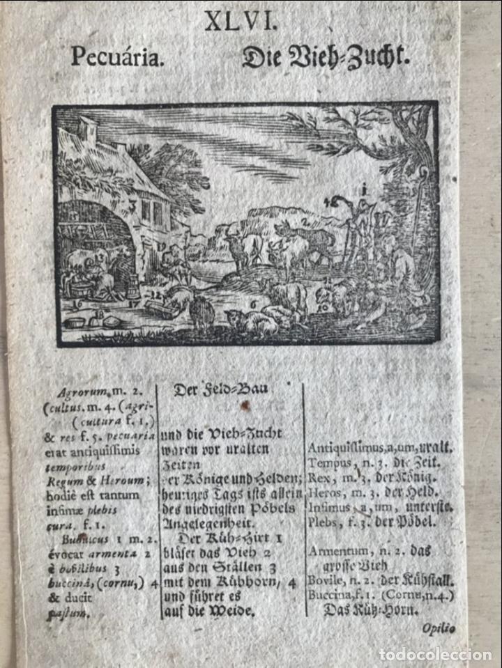 Arte: Ganader&iacute;a barroca, 1754. An&oacute;nimo - Foto 3