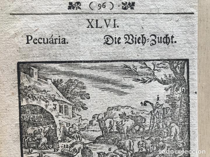 Arte: Ganader&iacute;a barroca, 1754. An&oacute;nimo - Foto 4