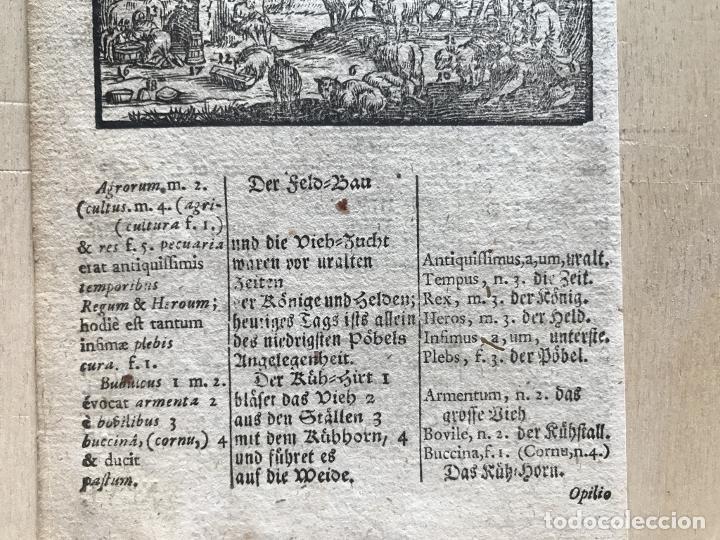 Arte: Ganader&iacute;a barroca, 1754. An&oacute;nimo - Foto 5