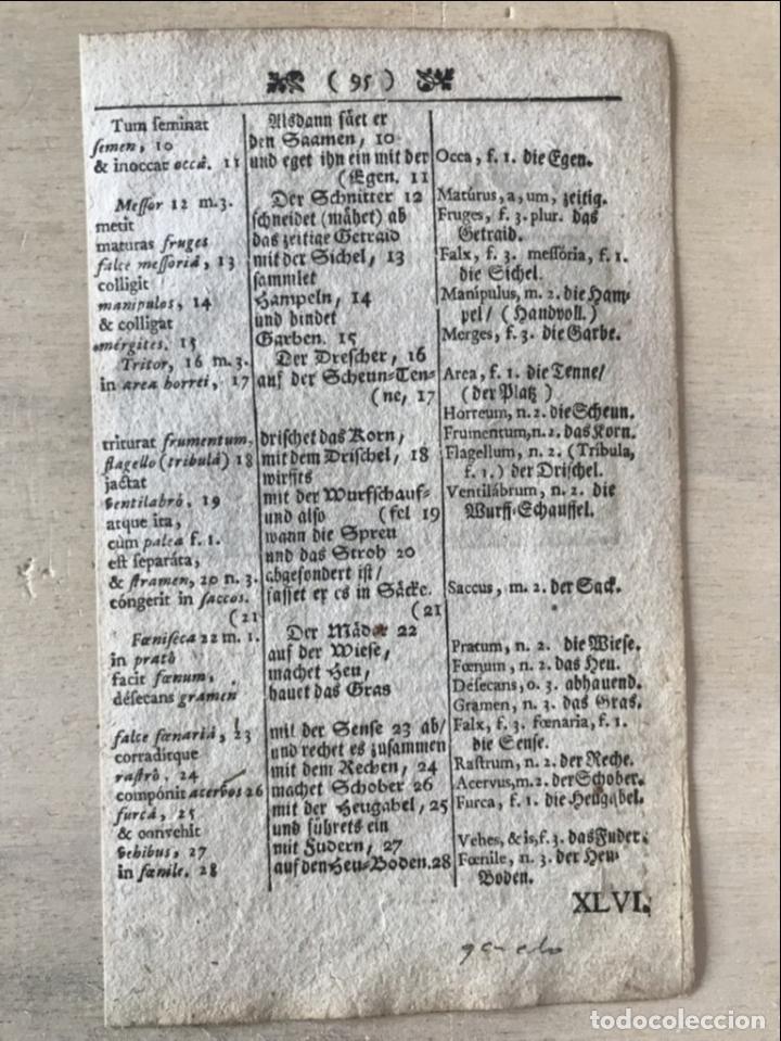 Arte: Ganader&iacute;a barroca, 1754. An&oacute;nimo - Foto 6
