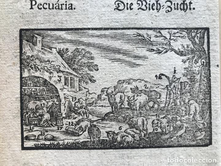 Arte: Ganader&iacute;a barroca, 1754. An&oacute;nimo - Foto 1