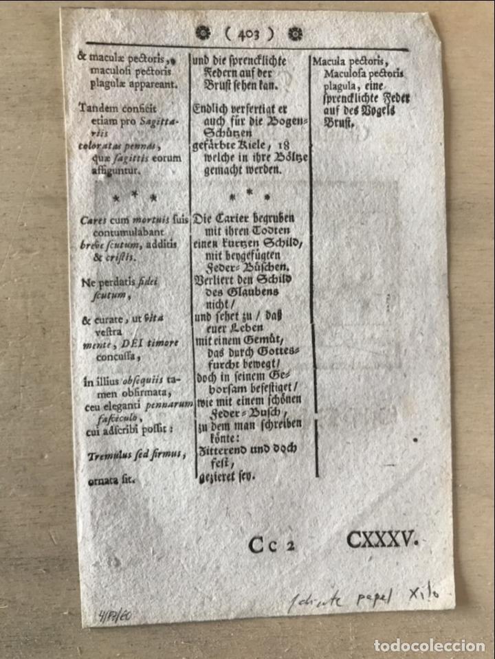 Arte: Fabricantes de papel, 1754. An&oacute;nimo - Foto 6