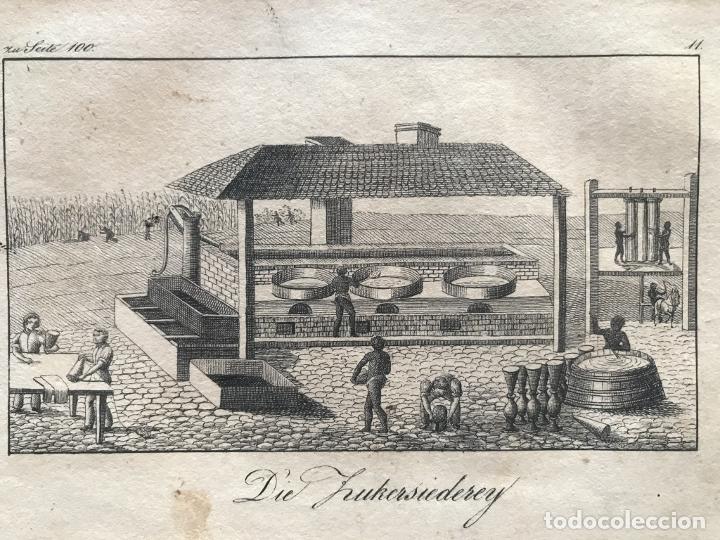 Arte: F&aacute;brica de az&uacute;car, 1830. An&oacute;nimo - Foto 3