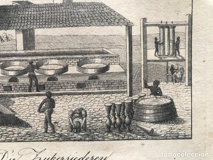 Arte: F&aacute;brica de az&uacute;car, 1830. An&oacute;nimo - Foto 6