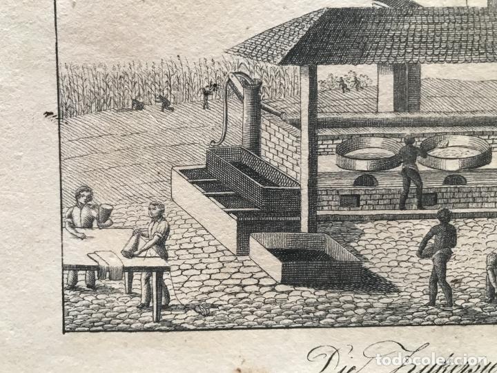 Arte: F&aacute;brica de az&uacute;car, 1830. An&oacute;nimo - Foto 7
