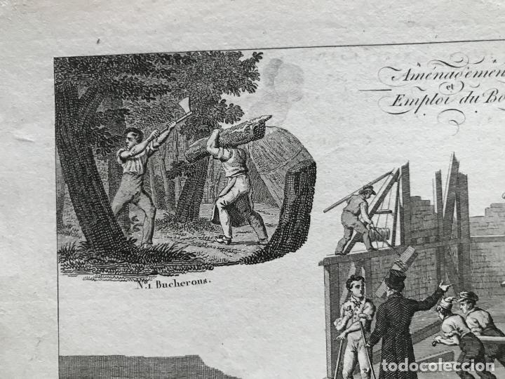 Arte: Utilizaci&oacute;n de la madera, 1822. An&oacute;nimo - Foto 4