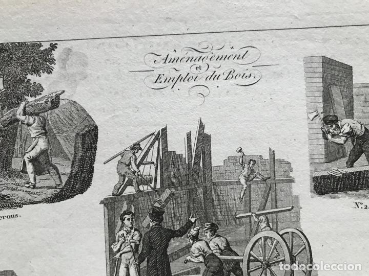 Arte: Utilizaci&oacute;n de la madera, 1822. An&oacute;nimo - Foto 5