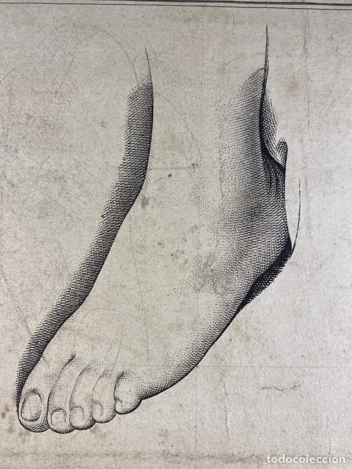 Arte: Estudio de pie grabado - Foto 2