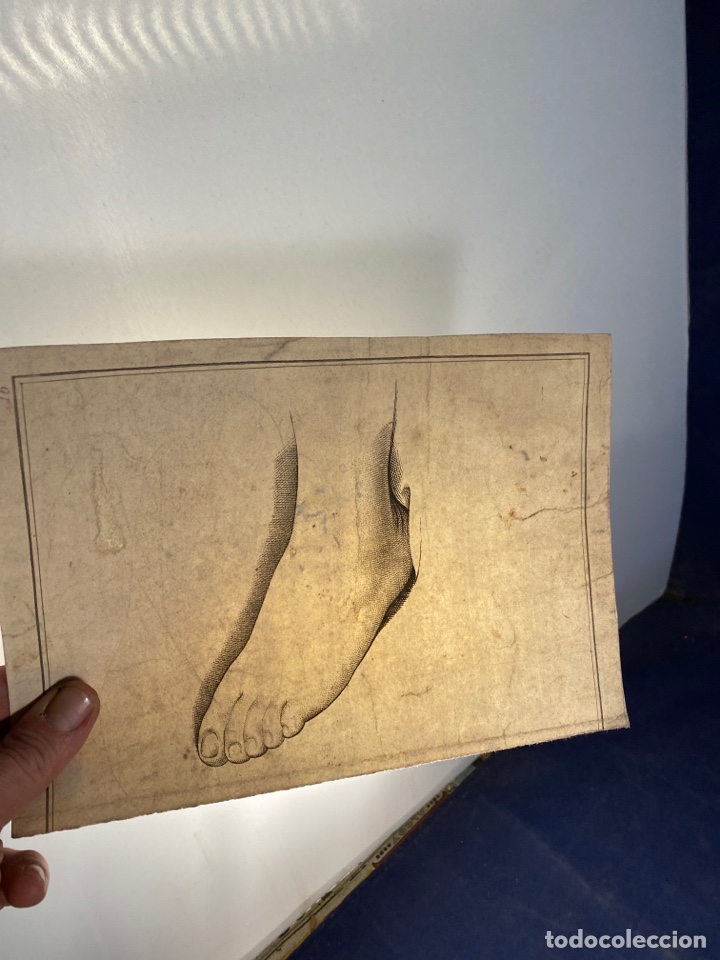 Arte: Estudio de pie grabado - Foto 3