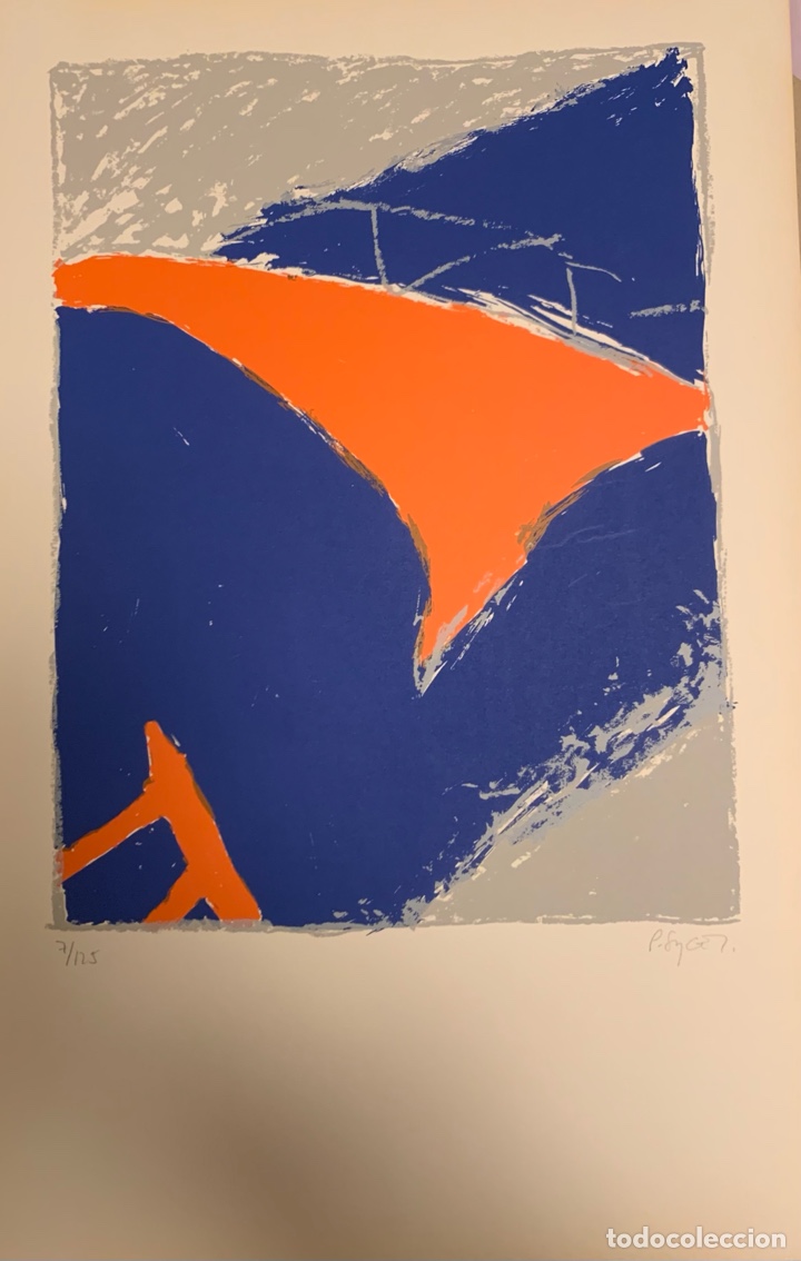 Arte: Serigraf&iacute;a de Pablo Sycet - Foto 2