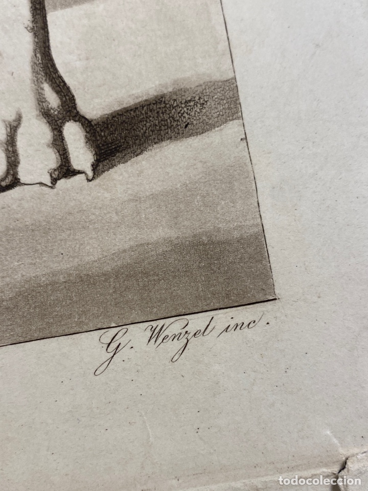 Arte: Grabado antiguo - Foto 6