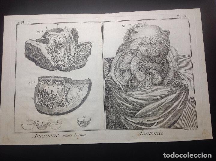 Arte: Bernard Direx. Anatom&iacute;a. - Foto 1