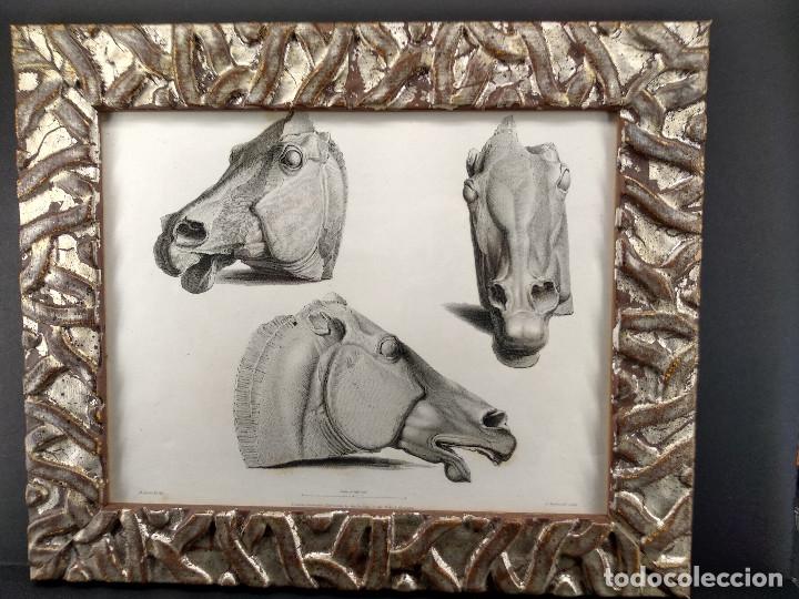 Art: Cabezas de caballo, Ancient marbles The British Museum 1830, Plancha XII, grabado Corbould, cuadro
