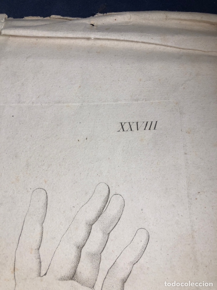 Arte: Grabado antiguo - Foto 4