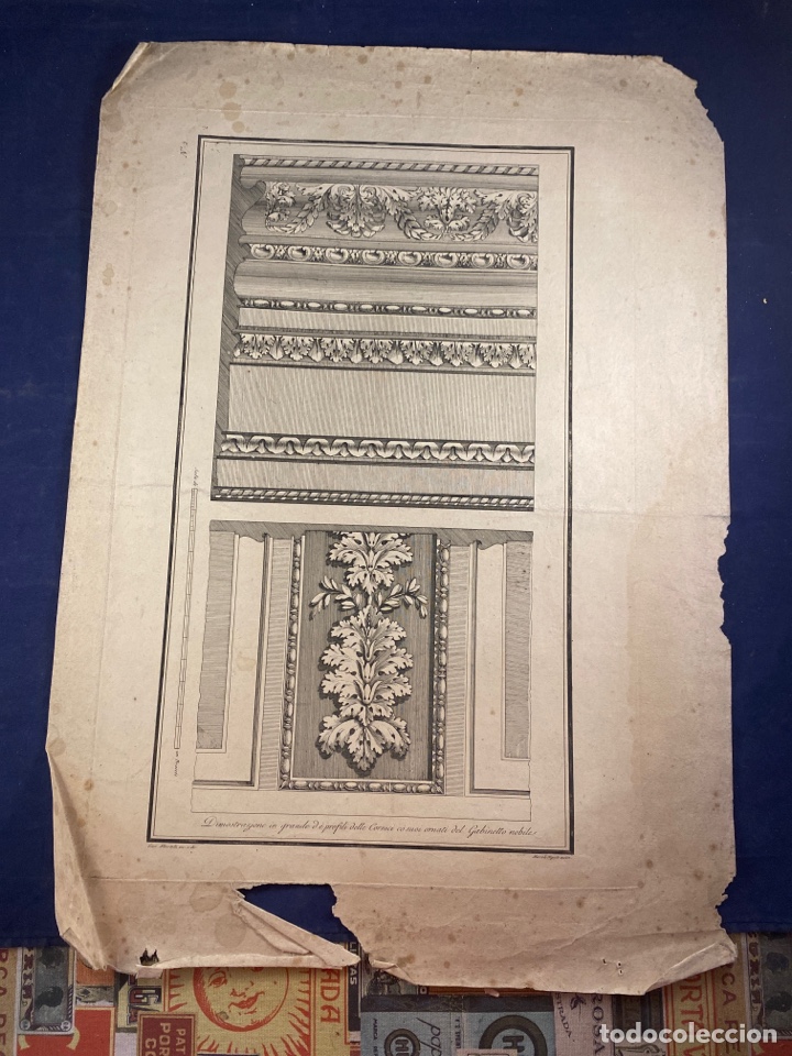 Arte: L&aacute;mina de ornamentaci&oacute;n arquitect&oacute;nica: cornisas y friso de acanto&rdquo; Calcograf&iacute;a italiana.