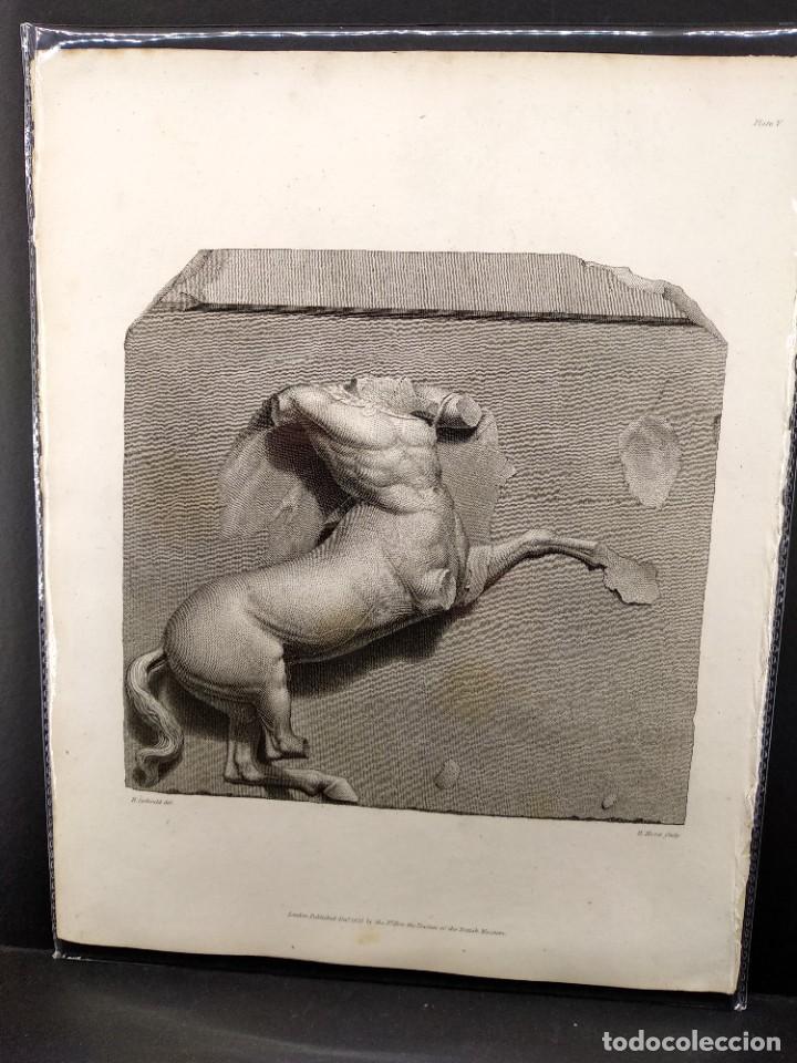 Arte: Metopa del Partenon, Ancient marbles The British Museum 1835, Plancha V, Corbould y Moses