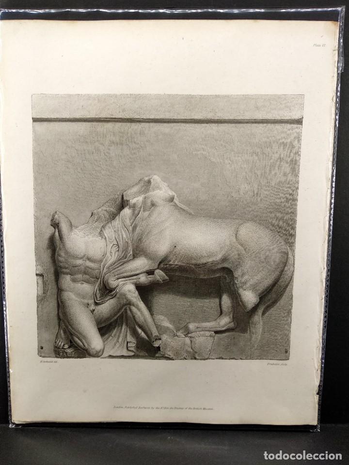 Arte: Metopa del Partenon, Ancient marbles The British Museum 1835, Plancha VI, Corbould y Freebairn