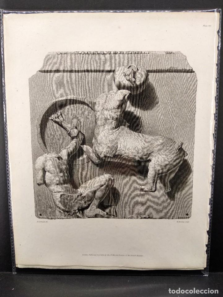 Arte: Metopa del Partenon, Ancient marbles The British Museum 1835, Plancha VII, Corbould y Bromley