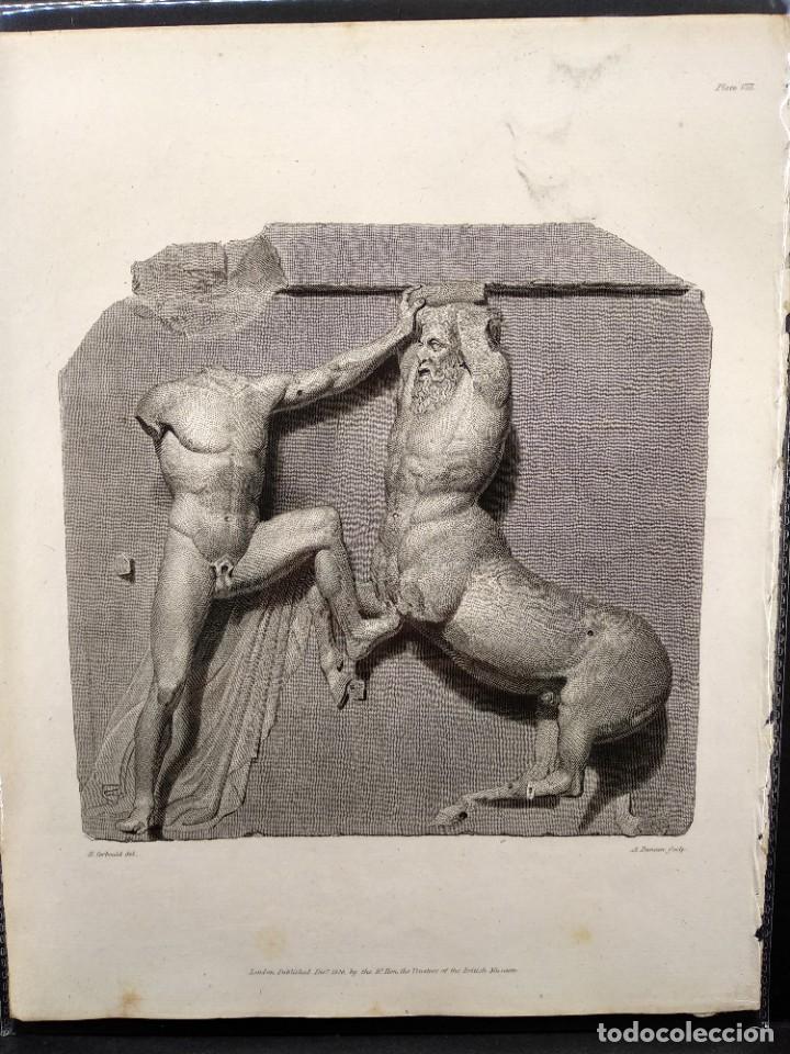 Arte: Metopa del Partenon, Ancient marbles The British Museum 1835, Plancha VIII, Corbould y Duncan