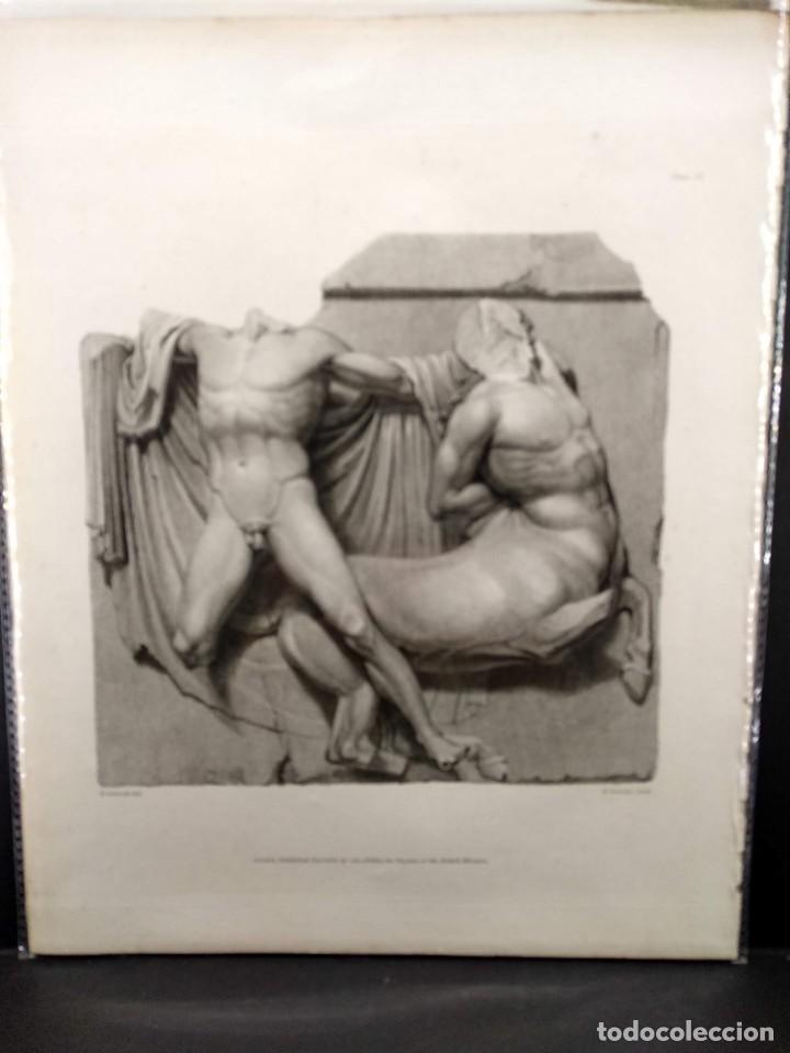 Arte: Metopa del Partenon, Ancient marbles The British Museum 1835, Plancha IX, Corbould y Bromley