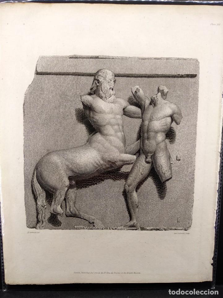 Arte: Metopa del Partenon, Ancient marbles The British Museum 1835, Plancha XIV, Corbould