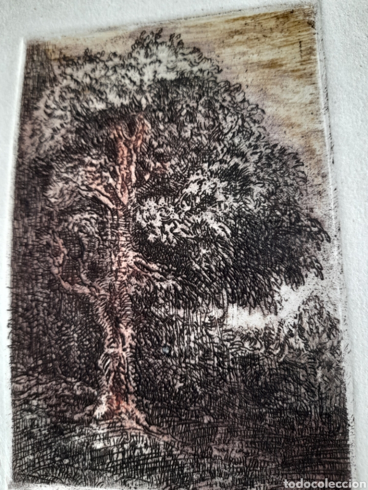 Arte: Bonito grabado - Foto 4