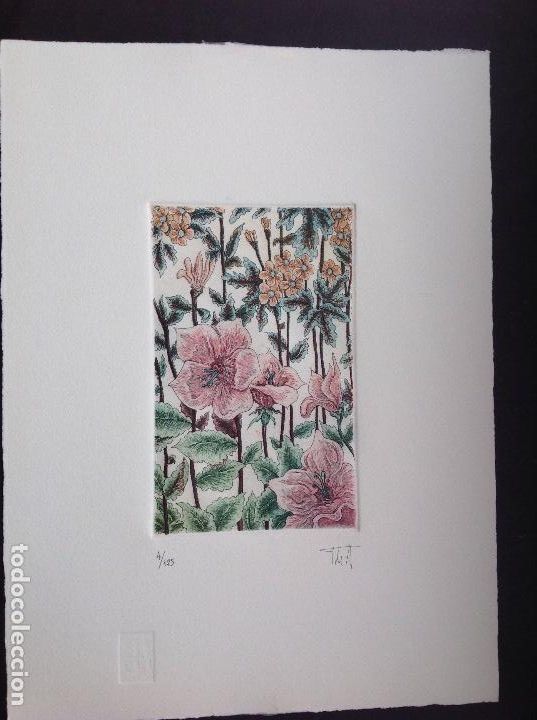Arte: To&ntilde;o de Angela. Flores. - Foto 1