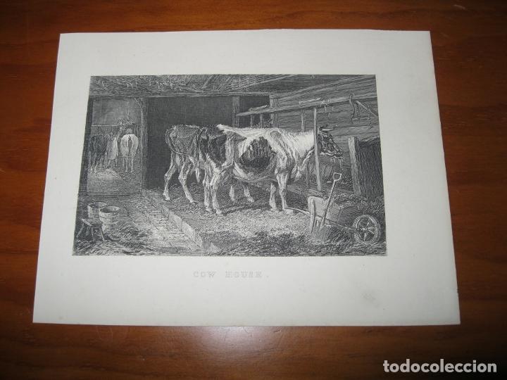 Arte: Vista del interior de un establo, 1850. An&oacute;nimo - Foto 1