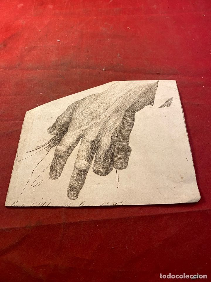 Arte: Estudio de mano masculina&rdquo; Fragmento de grabado calcogr&aacute;fico, siglos XVII-XVIII.