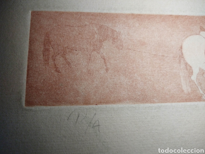 Arte: GRABADO PRUEBA DE AUTOR PARRILLA - Foto 6