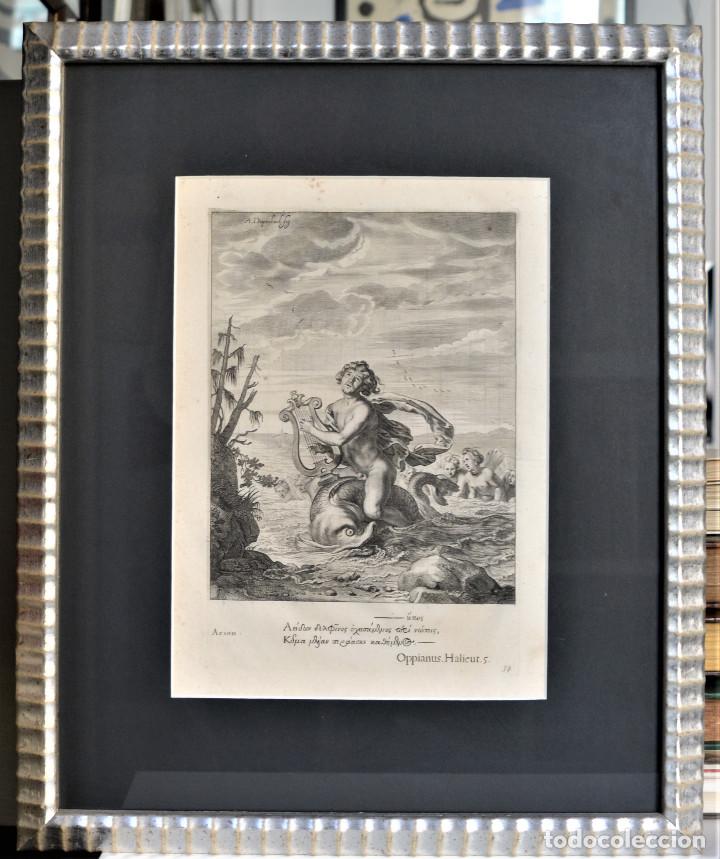 Arte: Arion. Mitolog&iacute;a. Abraham Van Diepenbeek. - Foto 1