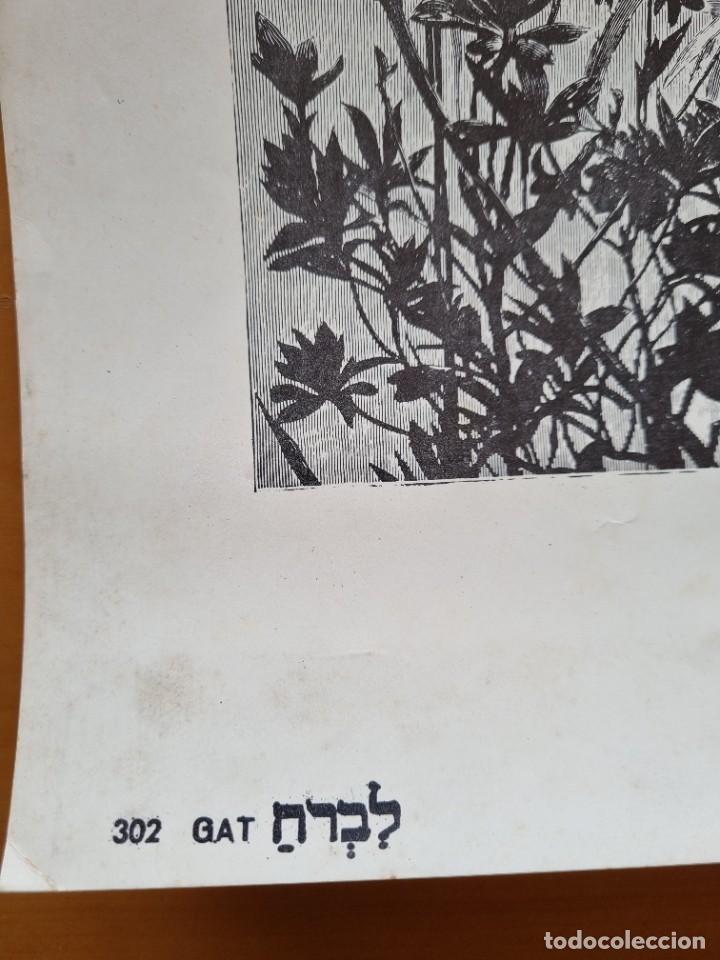 Arte: GRABADO &rdquo;DONCELLA EN EL JARDIN&rdquo; - Foto 3
