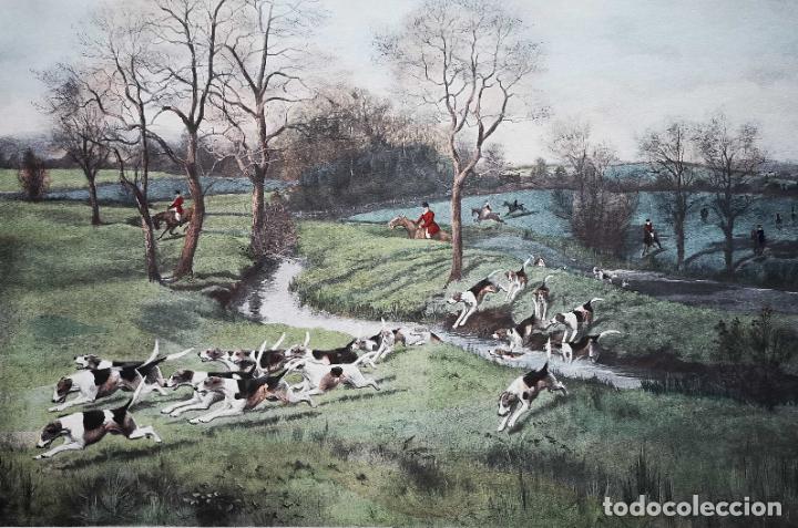 Art: Grabado perros en escena de caza inglesa
