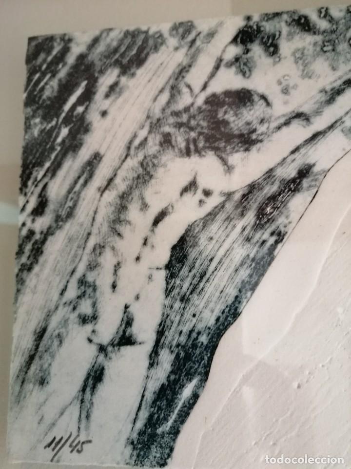 Arte: Armand Lluent - Foto 2